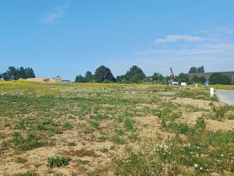 Terrain à vendre à Eghezée