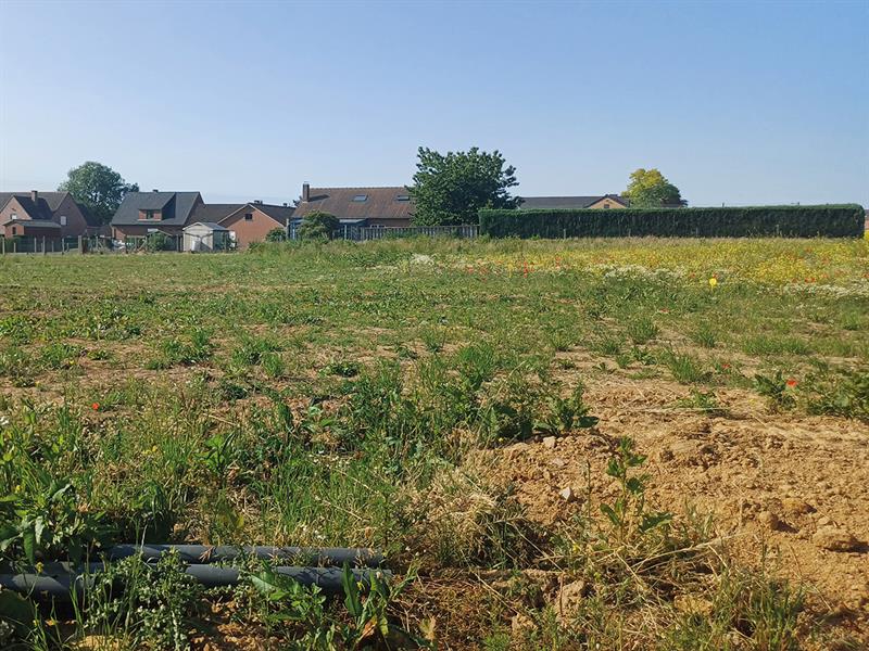 Terrain à vendre à Eghezée