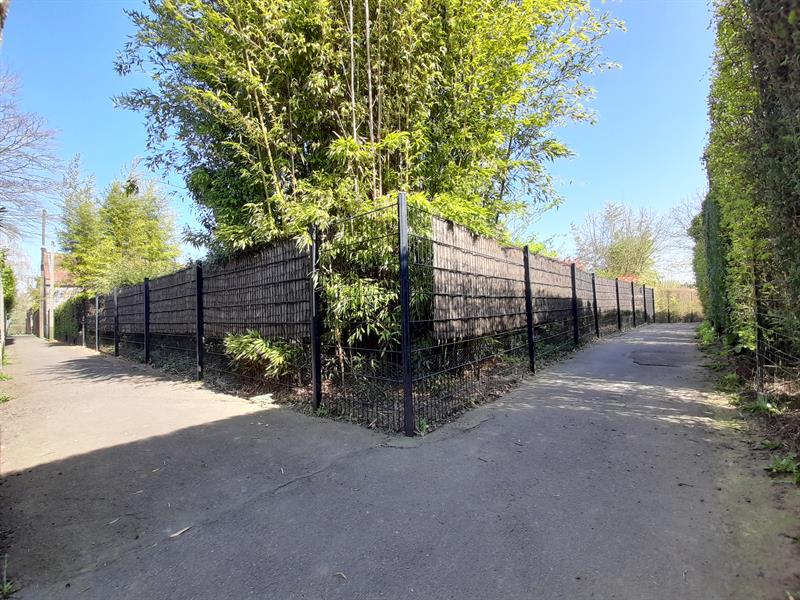 243892fe87fa